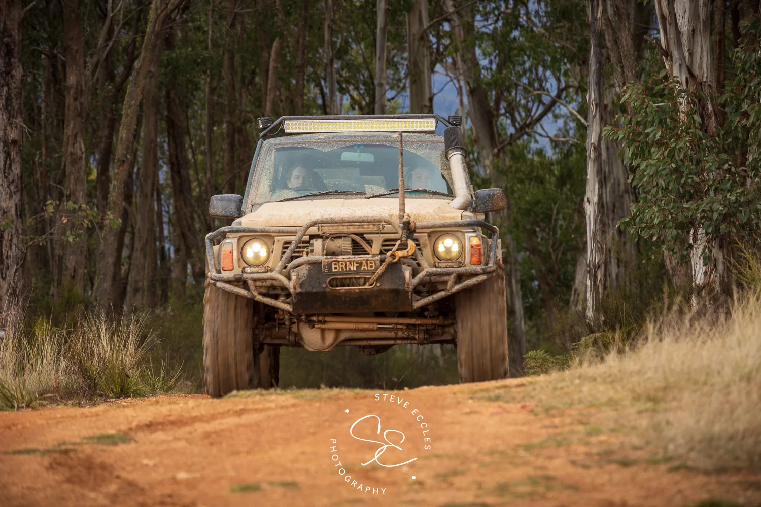 4WD headlights on forest trail